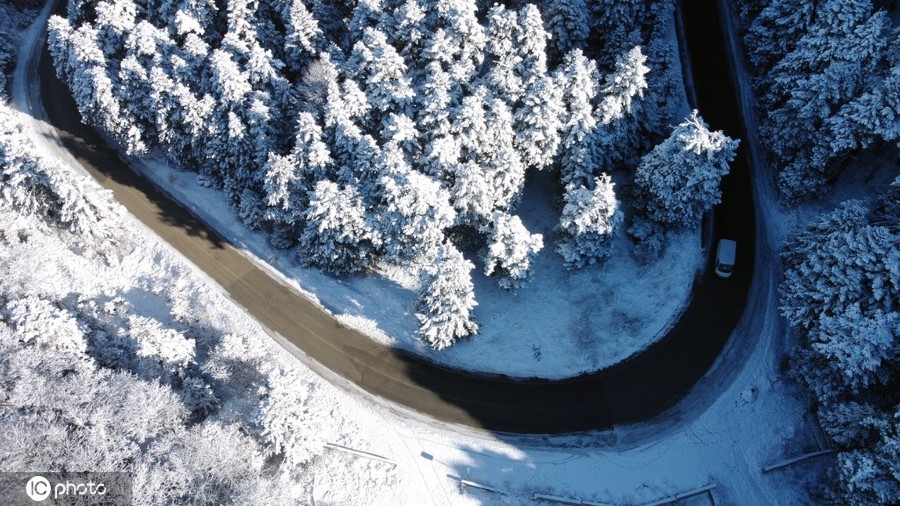 ICphoto(qun)ƷՈ(qng)D(zhun)d