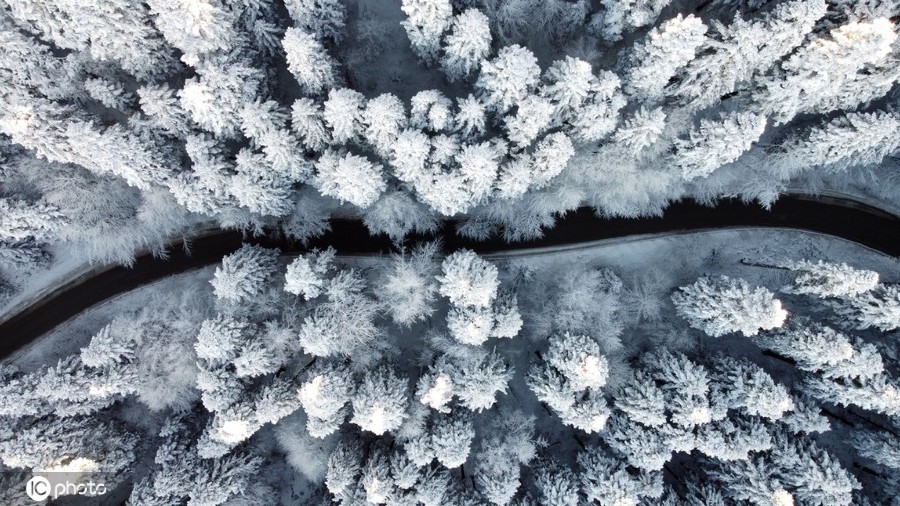 ICphoto(qun)ƷՈD(zhun)d