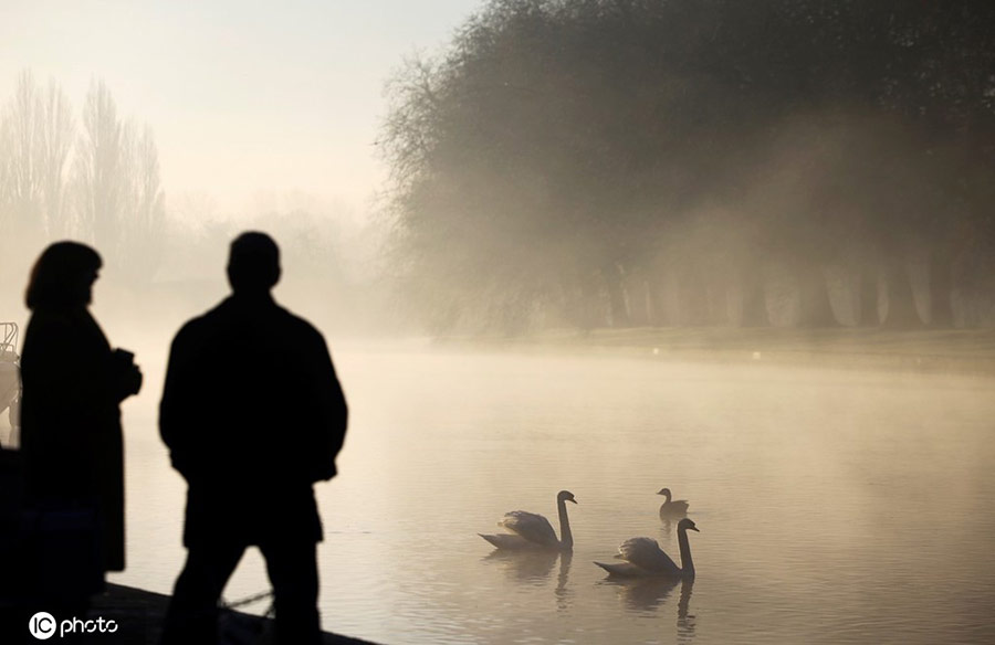 ICphoto(qun)ƷՈ(qng)D(zhun)d