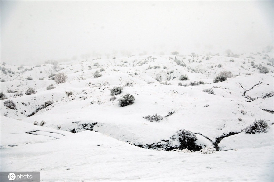 ICphoto(qun)ƷՈD(zhun)d