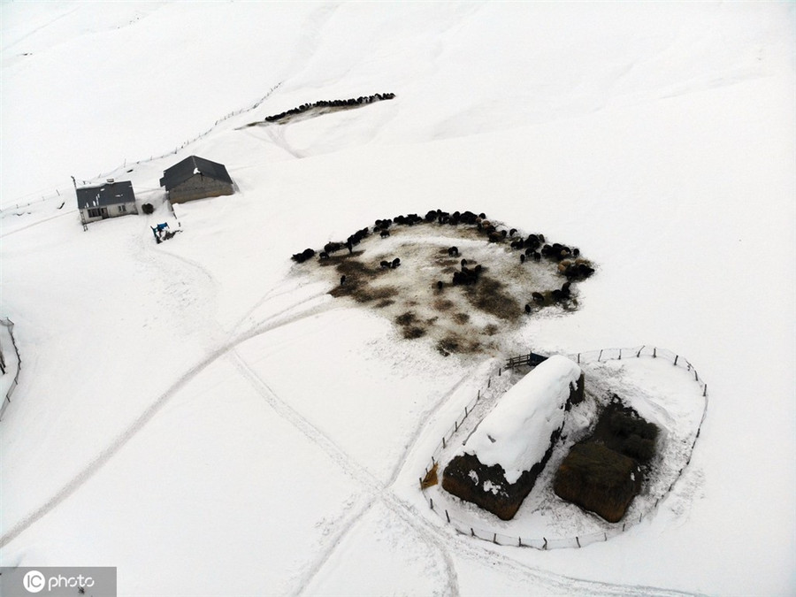 ICphoto(qun)ƷՈD(zhun)d