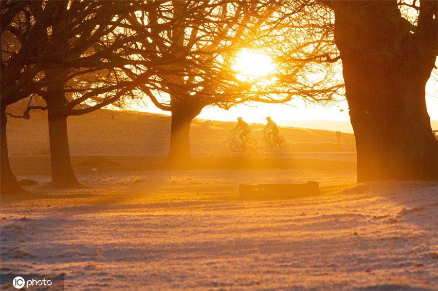 ICphoto(qun)ƷՈ(qng)D(zhun)d