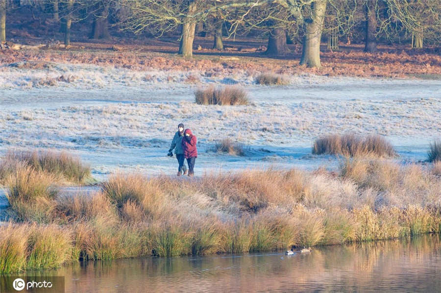 ICphoto(qun)ƷՈD(zhun)d