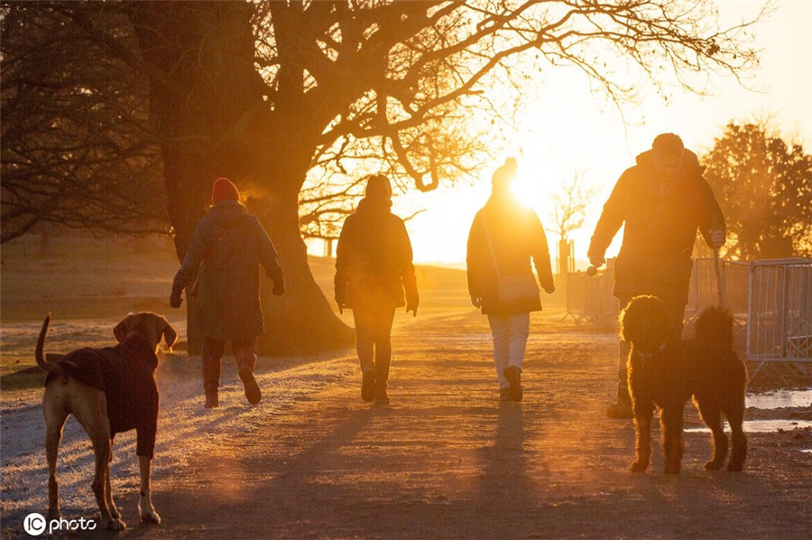 ICphoto(qun)ƷՈ(qng)D(zhun)d