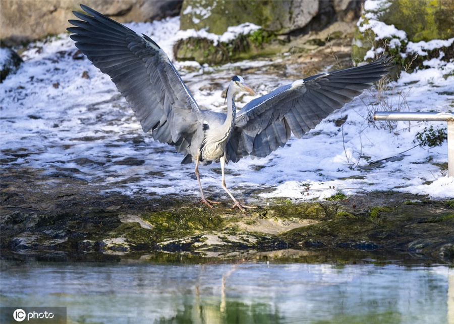 ICPhoto(qun)ƷՈD(zhun)d