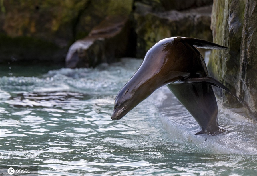 ICPhoto(qun)ƷՈ(qng)D(zhun)d