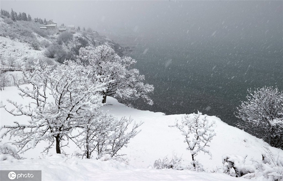 ICPhoto(qun)ƷՈD(zhun)d