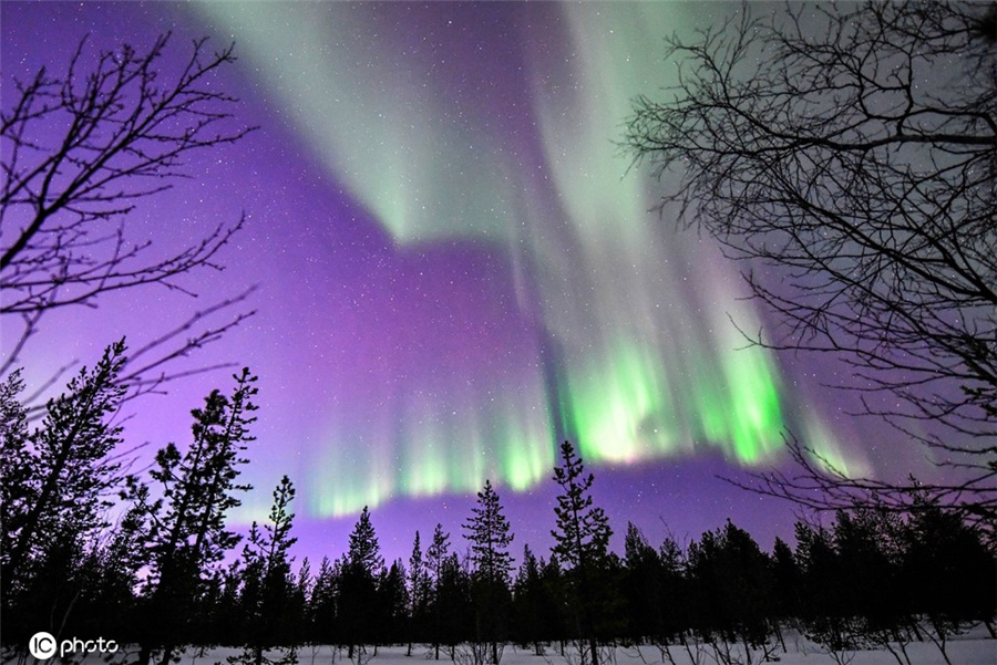 ICPhotoƷՈD(zhun)d