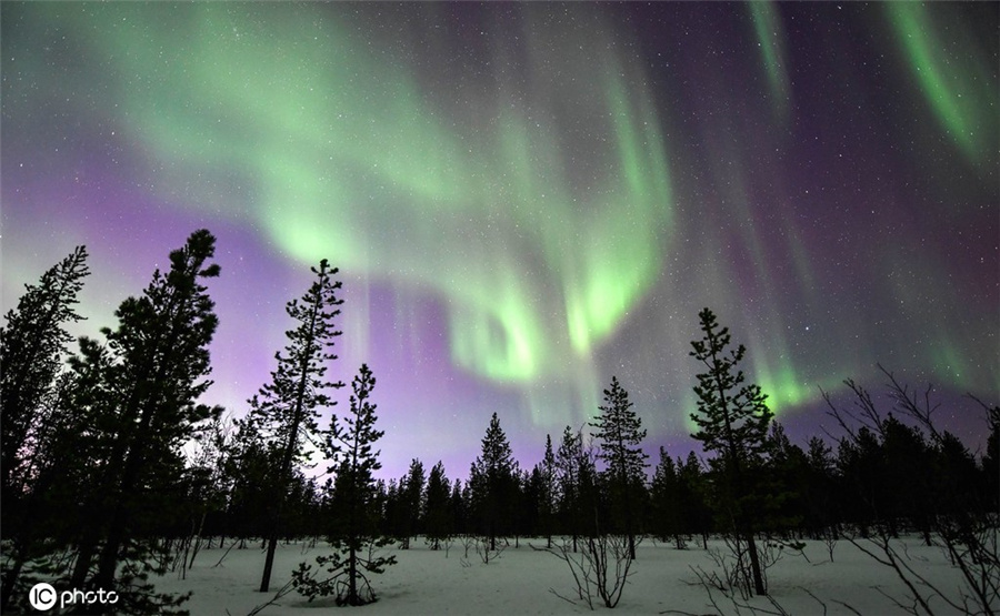 ICPhoto(qun)ƷՈD(zhun)d