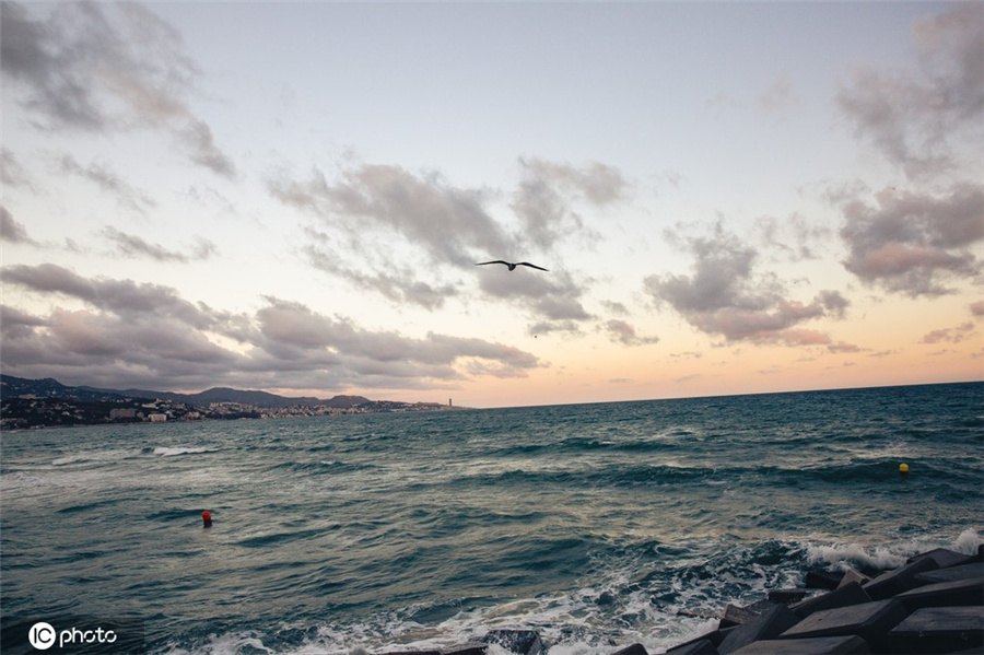 ICPhoto(qun)ƷՈ(qng)D(zhun)d