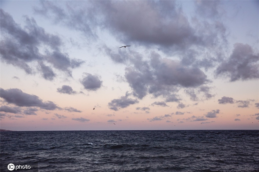 ICPhoto(qun)ƷՈ(qng)D(zhun)d