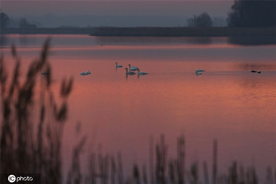 ICPhoto(qun)ƷՈD(zhun)d