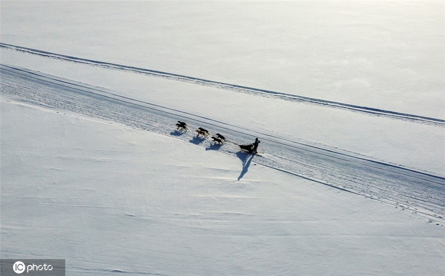 ICPhotoƷՈDd