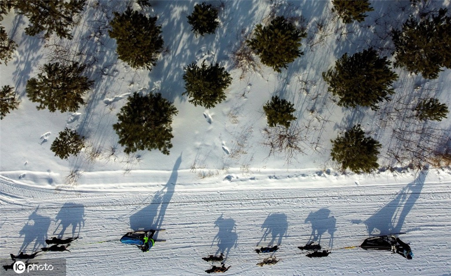 ICPhoto(qun)ƷՈ(qng)D(zhun)d