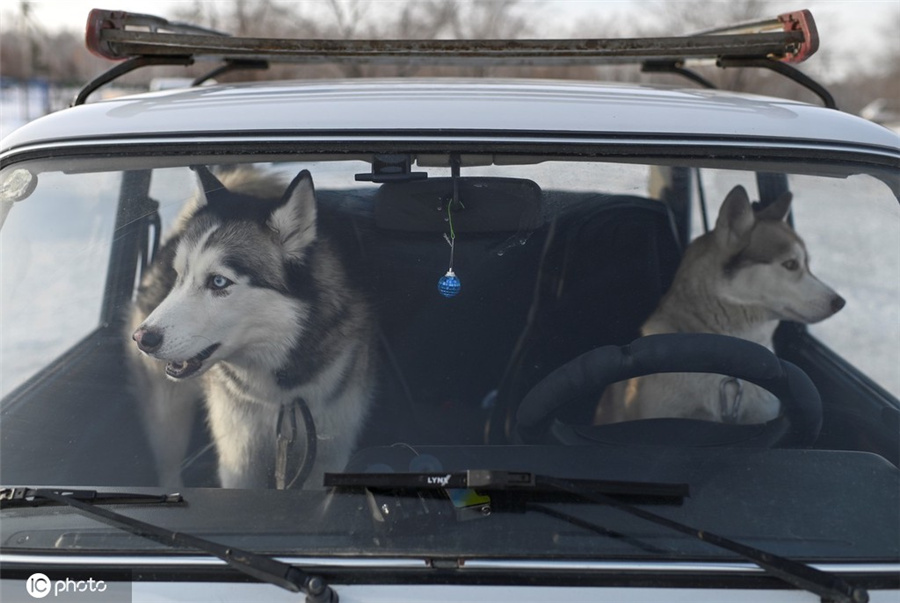 ICPhoto(qun)ƷՈD(zhun)d