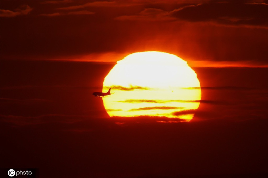 ICPhoto(qun)ƷՈD(zhun)d