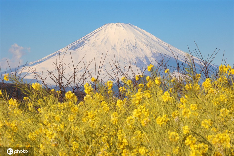 ICPhoto(qun)ƷՈ(qng)D(zhun)d