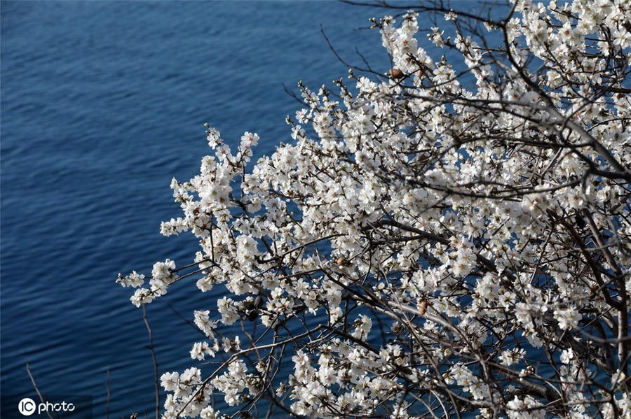 ICPhoto(qun)ƷՈD(zhun)d