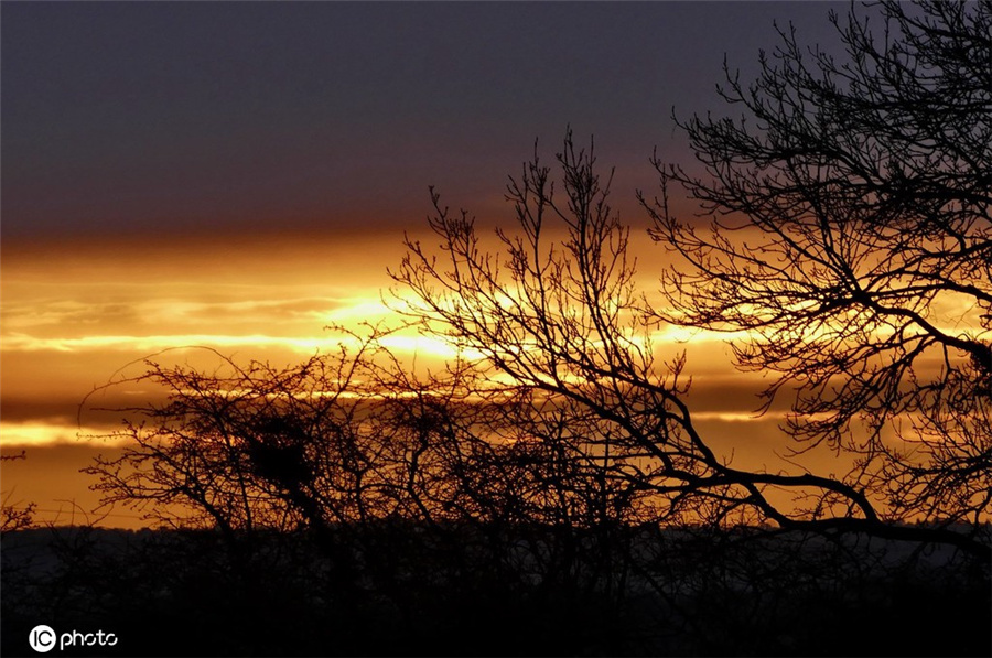 ICPhoto(qun)ƷՈ(qng)D(zhun)d