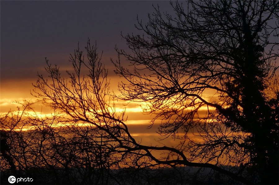 ICPhoto(qun)ƷՈ(qng)D(zhun)d