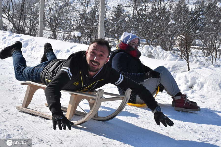 ICPhoto(qun)ƷՈ(qng)D(zhun)d