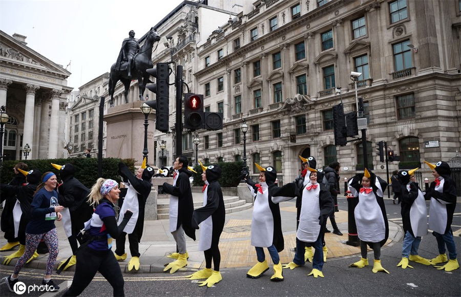 ICPhoto(qun)ƷՈ(qng)D(zhun)d