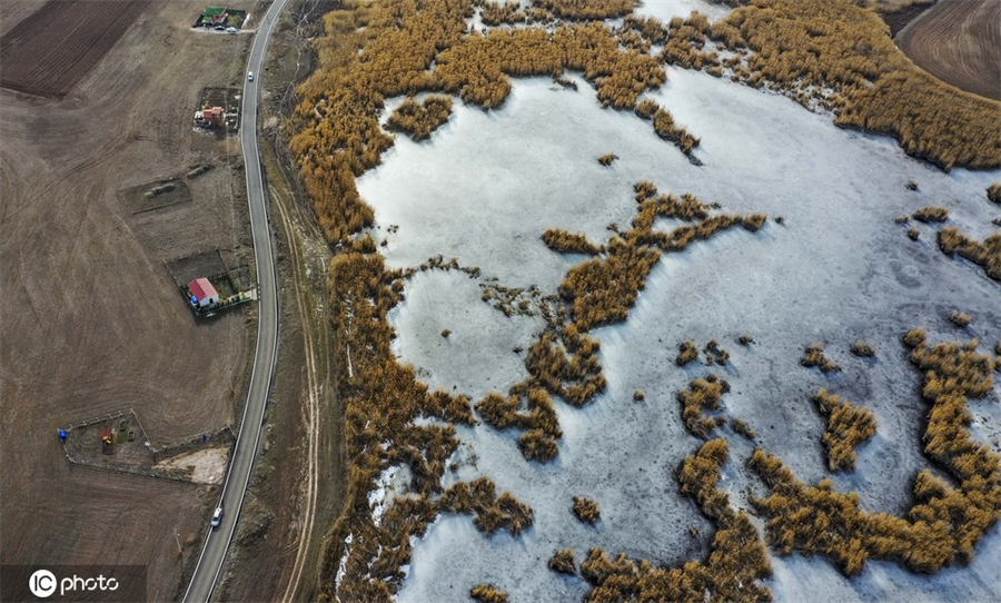 ICPhoto(qun)ƷՈD(zhun)d