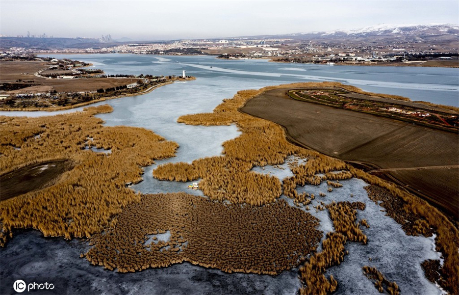 ICPhoto(qun)ƷՈD(zhun)d