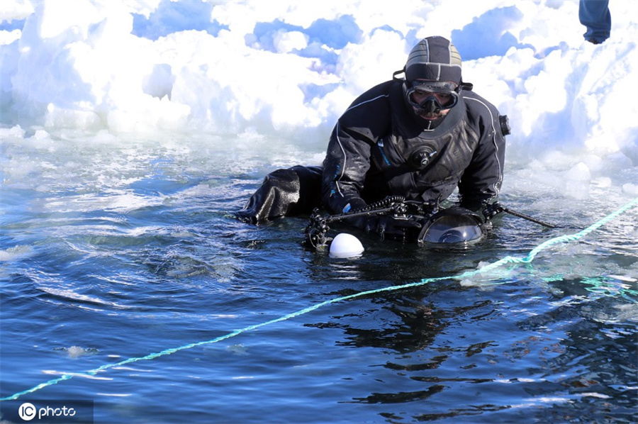 ICPhoto(qun)ƷՈD(zhun)d