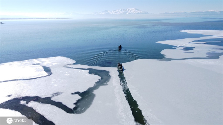 ICPhoto(qun)ƷՈD(zhun)d