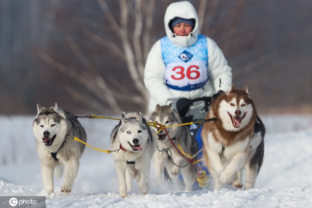 ICPhoto(qun)ƷՈ(qng)D(zhun)d