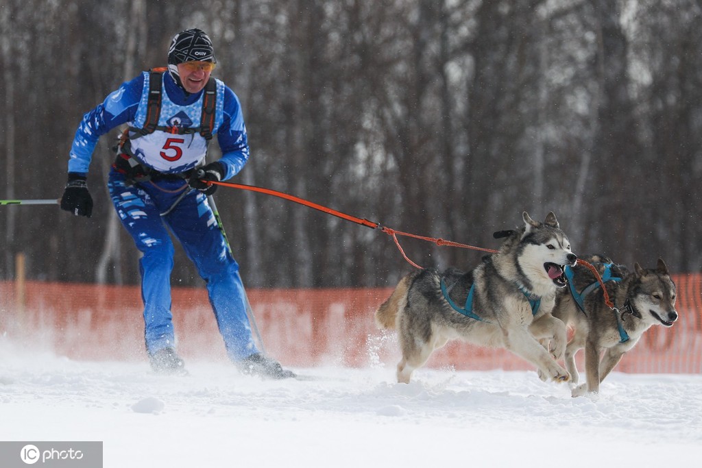 ICPhoto(qun)ƷՈ(qng)D(zhun)d