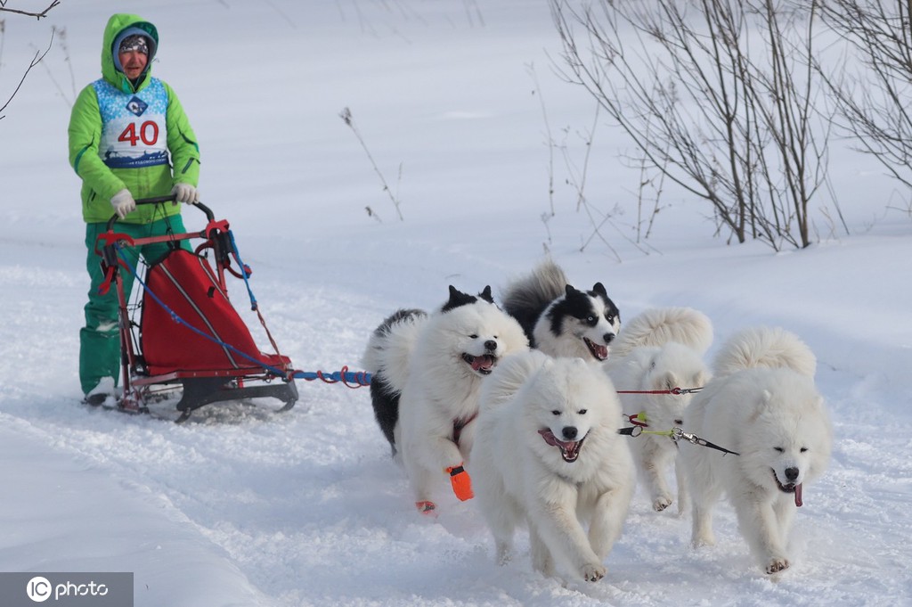 ICPhoto(qun)ƷՈ(qng)D(zhun)d