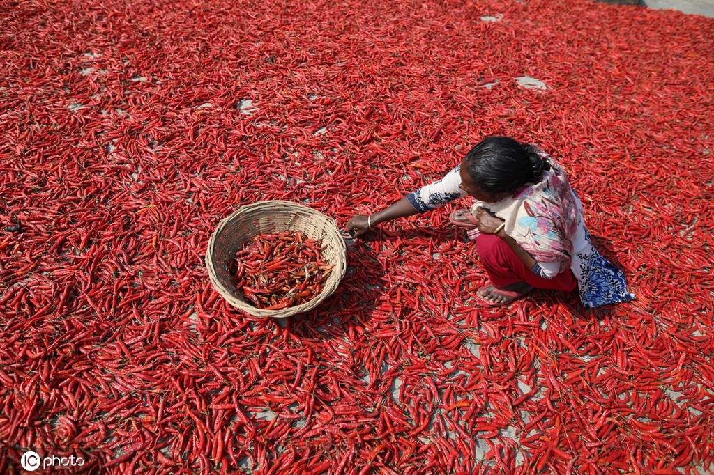 ICphoto(qun)ƷՈ(qng)D(zhun)d