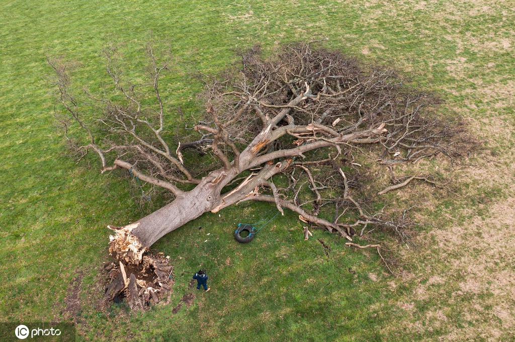 ICphoto(qun)ƷՈ(qng)D(zhun)d