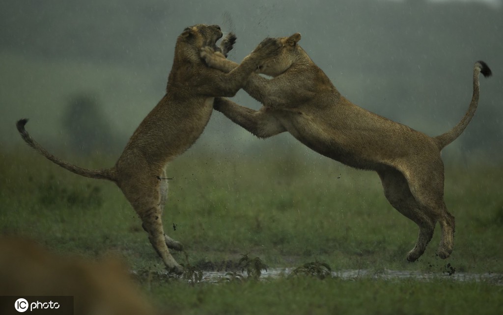 ICphoto(qun)DƬՈ(qng)D(zhun)d