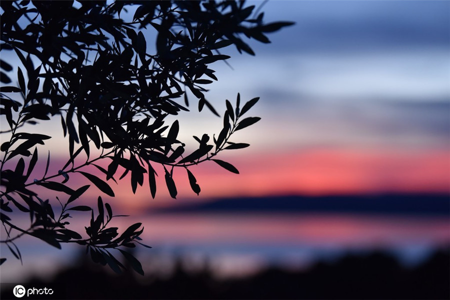 |IC(qun)ƷՈD(zhun)d