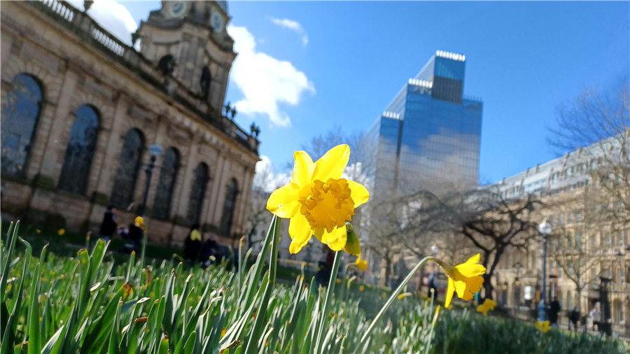 |IC(qun)ƷՈD(zhun)d