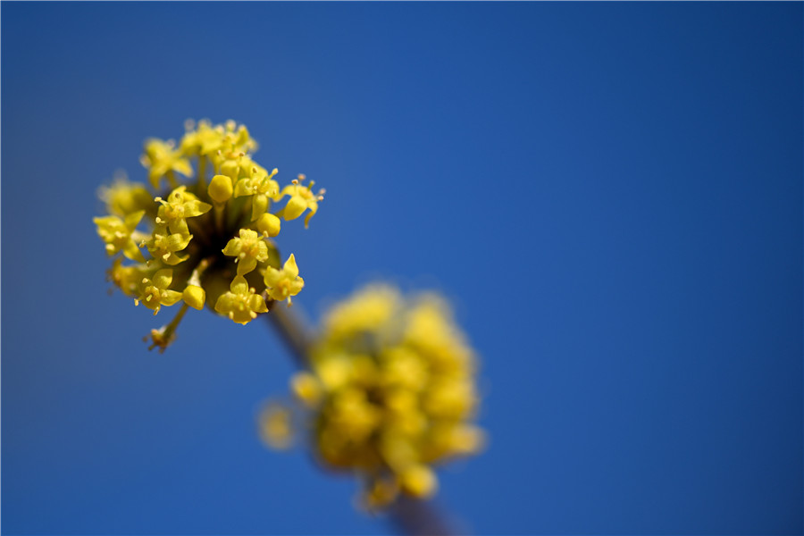 |IC(qun)ƷՈ(qng)D(zhun)d