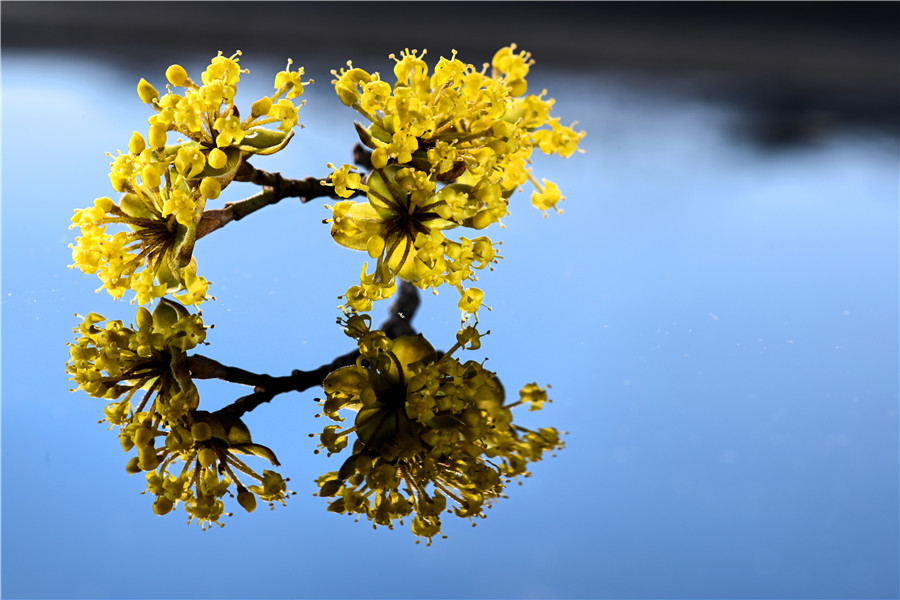 |IC(qun)ƷՈD(zhun)d