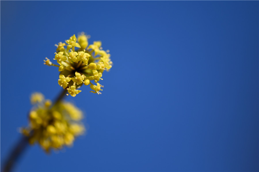 |IC(qun)ƷՈ(qng)D(zhun)d