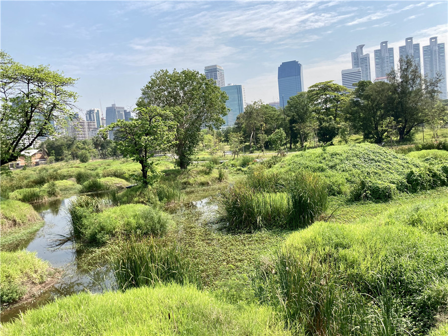 |IC(qun)ƷՈ(qng)D(zhun)d