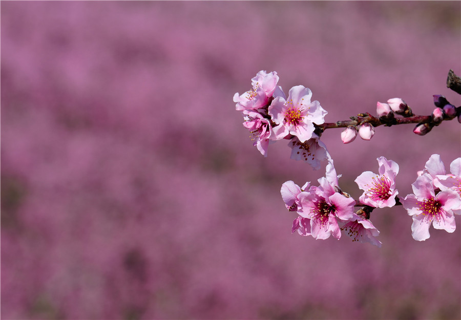 |IC(qun)ƷՈD(zhun)d