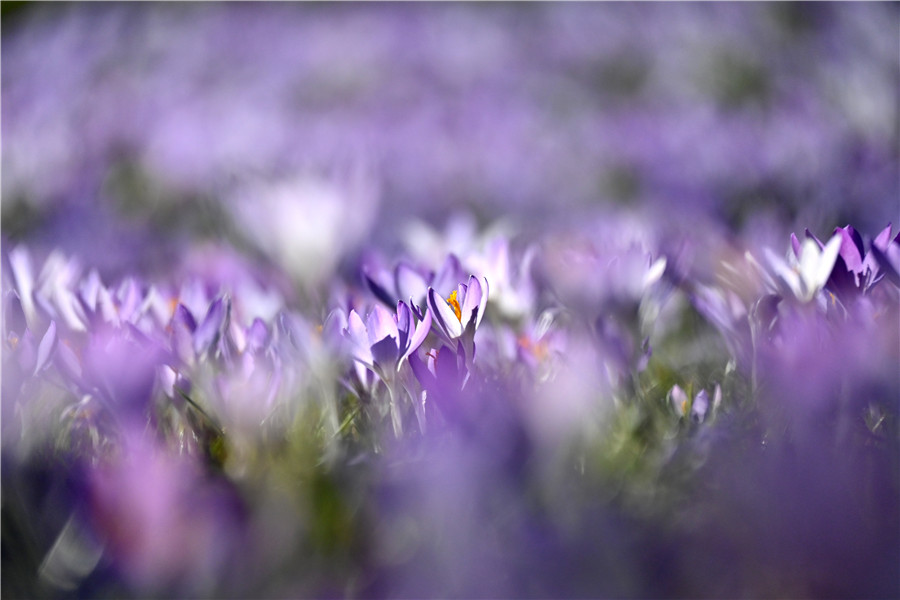 |IC(qun)ƷՈ(qng)D(zhun)d