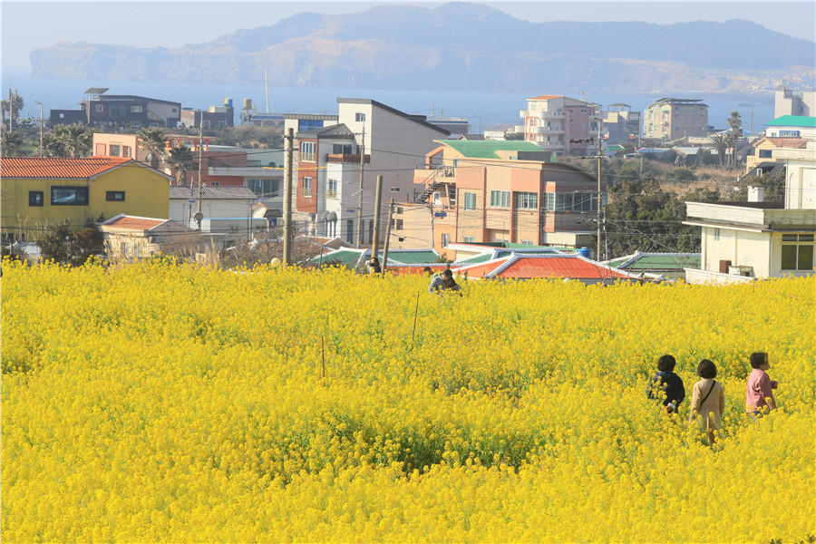 |IC(qun)ƷՈ(qng)D(zhun)d