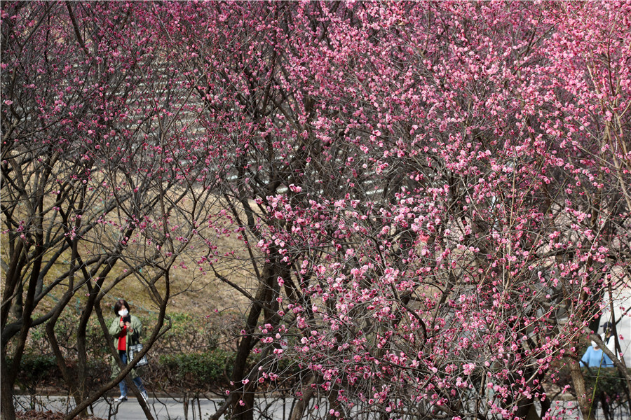 |IC(qun)ƷՈD(zhun)d