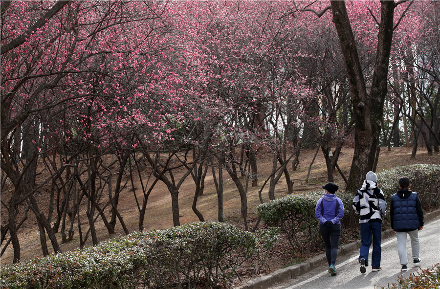 |IC(qun)ƷՈD(zhun)d