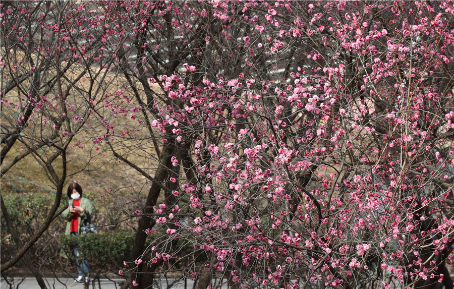 |IC(qun)ƷՈD(zhun)d