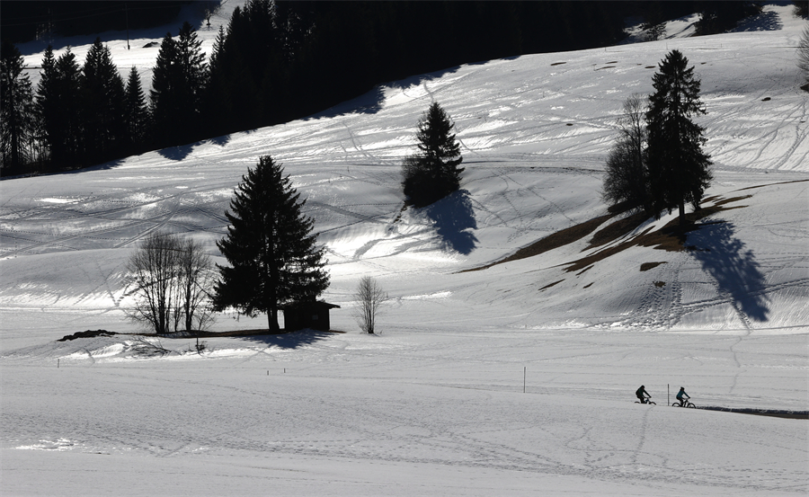 |IC(qun)ƷՈ(qng)D(zhun)d