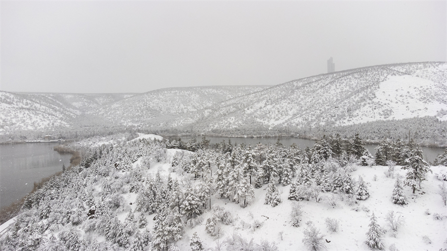 ICPhoto(qun)ƷՈD(zhun)d